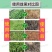 永农金草安10%精草铵膦铵盐果园荒地杂草除草剂