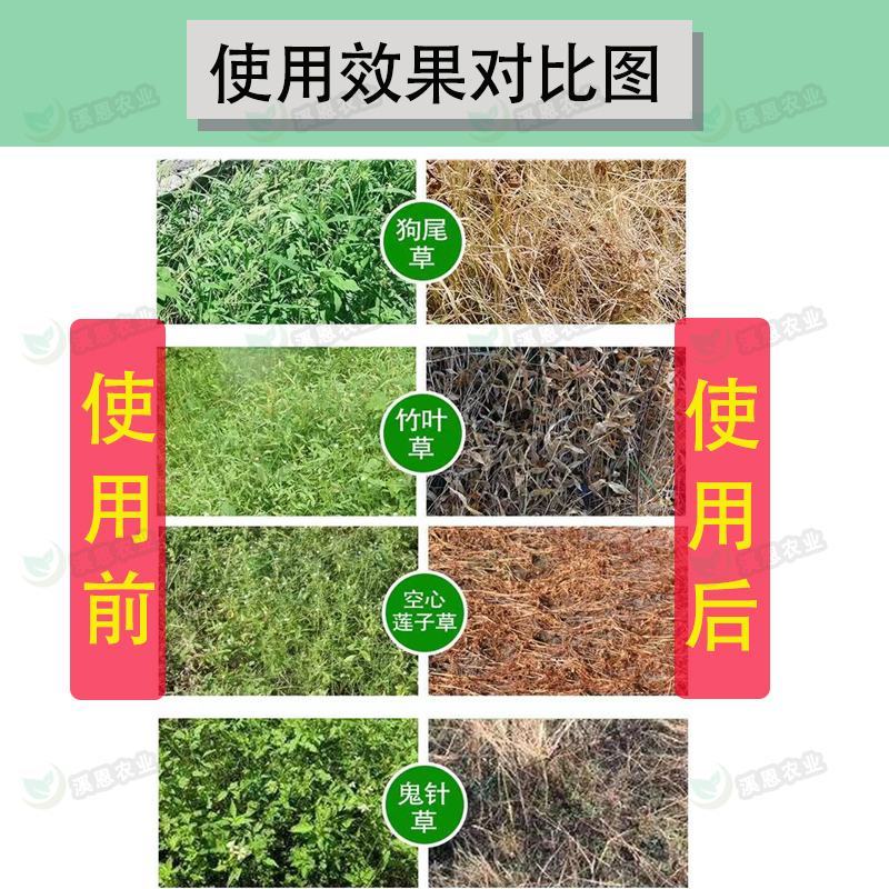 永农金草安10%精草铵膦铵盐果园荒地杂草除草剂