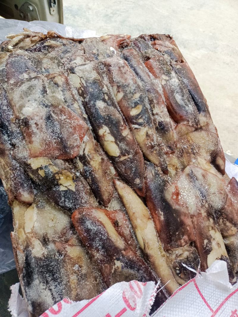 鱿鱼商用整盘鱿鱼，货源充足，产地直发，可视频看货