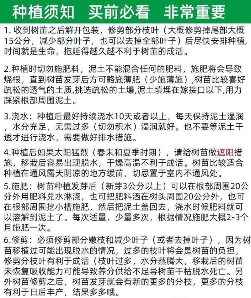 【优质热卖】金秋砂糖橘苗，皮薄无籽，脆蜜金柑苗，基地直。