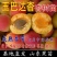 铁巴达杏子苗嫁接玉巴达杏子树苗早熟杏树苗南北方种植
