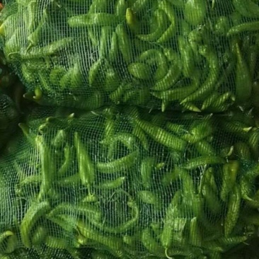 次品大量有货，新鲜的，当天货
