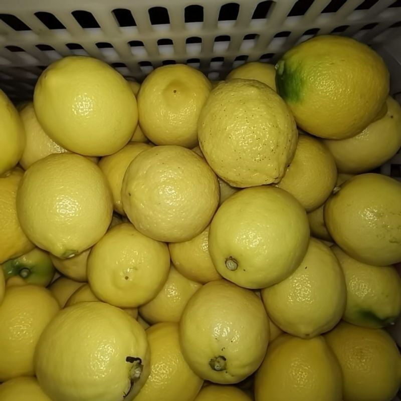 安岳柠檬果粒大，给钱就卖，皮薄肉厚，好货不多，帮亲戚卖