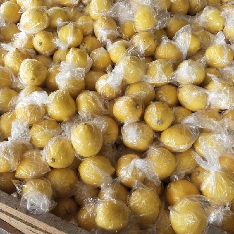 安岳柠檬果粒大，给钱就卖，皮薄肉厚，好货不多，帮亲戚卖