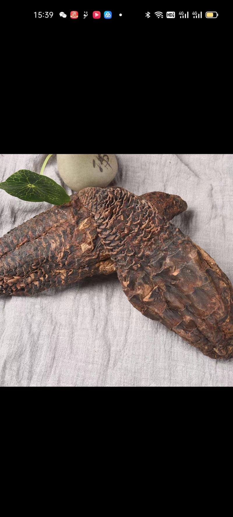 新疆于田肉苁蓉干货