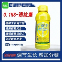 龙蟒福生五抗王S-诱抗素水稻增加分蘖促生长植物生长调节