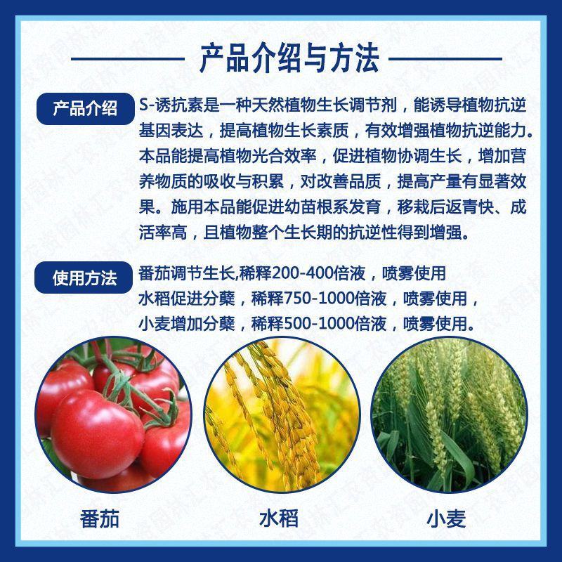 龙蟒福生五抗王S-诱抗素水稻增加分蘖促生长植物生长调节