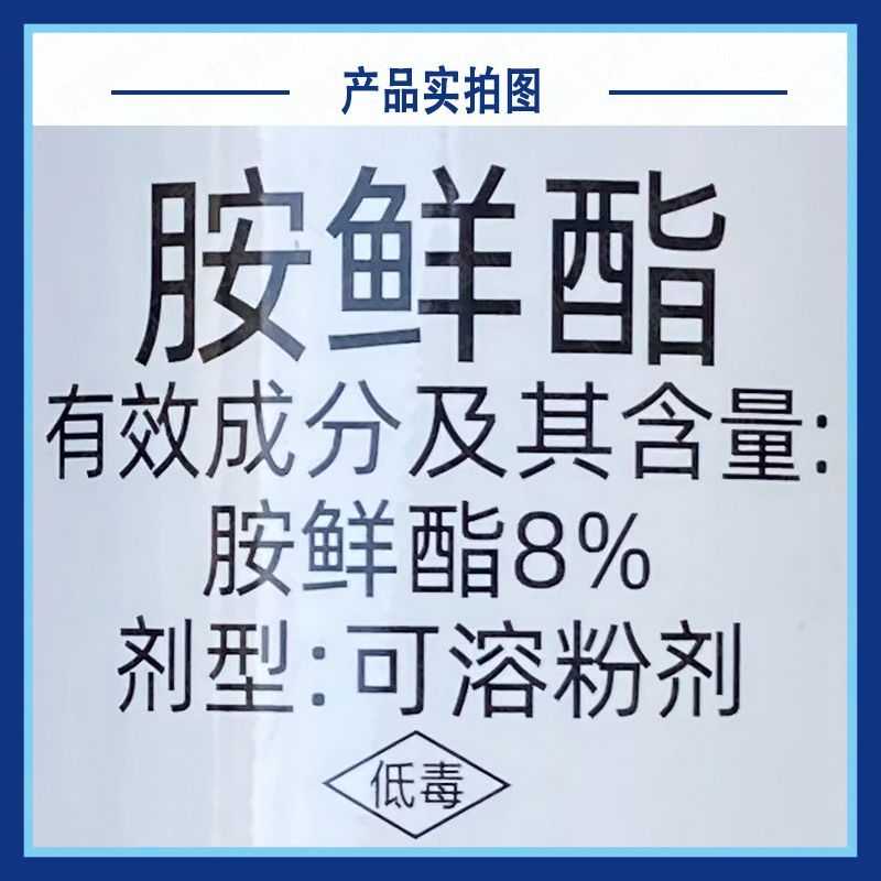 阿米多彩8%胺鲜酯调节生长剂增产大白菜农药膨大着色抗寒正