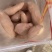 河北雄县龙署批发