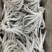 单冻鱿鱼头，源头直供，规格齐全