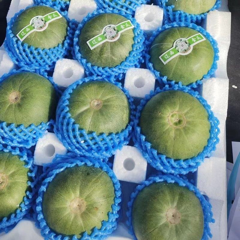 【绿宝甜瓜】产地一手货源，只做精品，价美质优，欢迎合作！