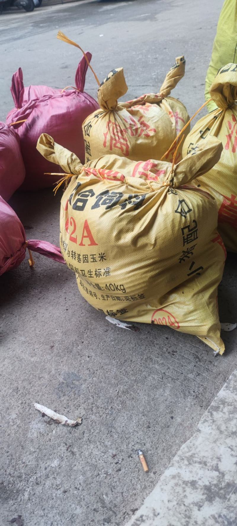 荔浦芋头批发，新鲜现挖产地直供电商餐饮货源稳定，粉香糯