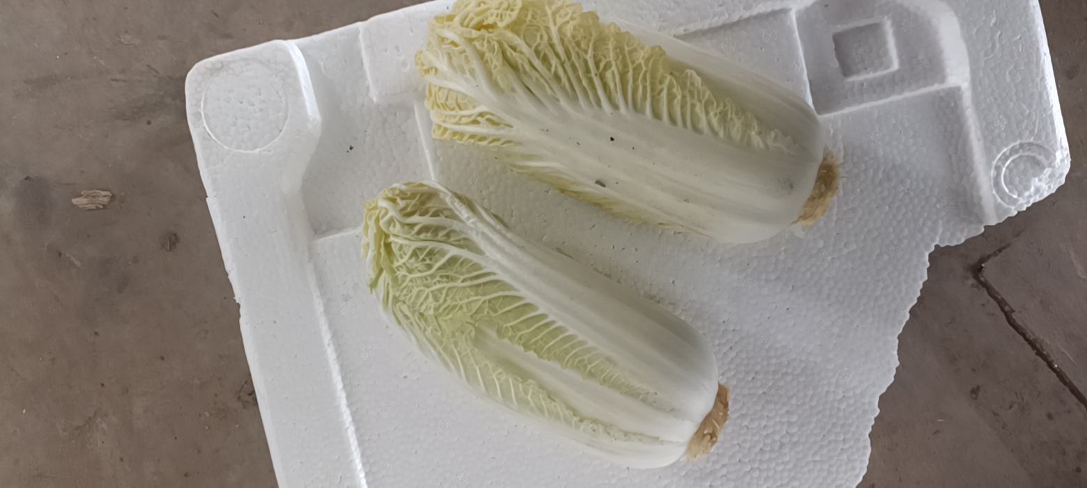 娃娃菜清洗过程