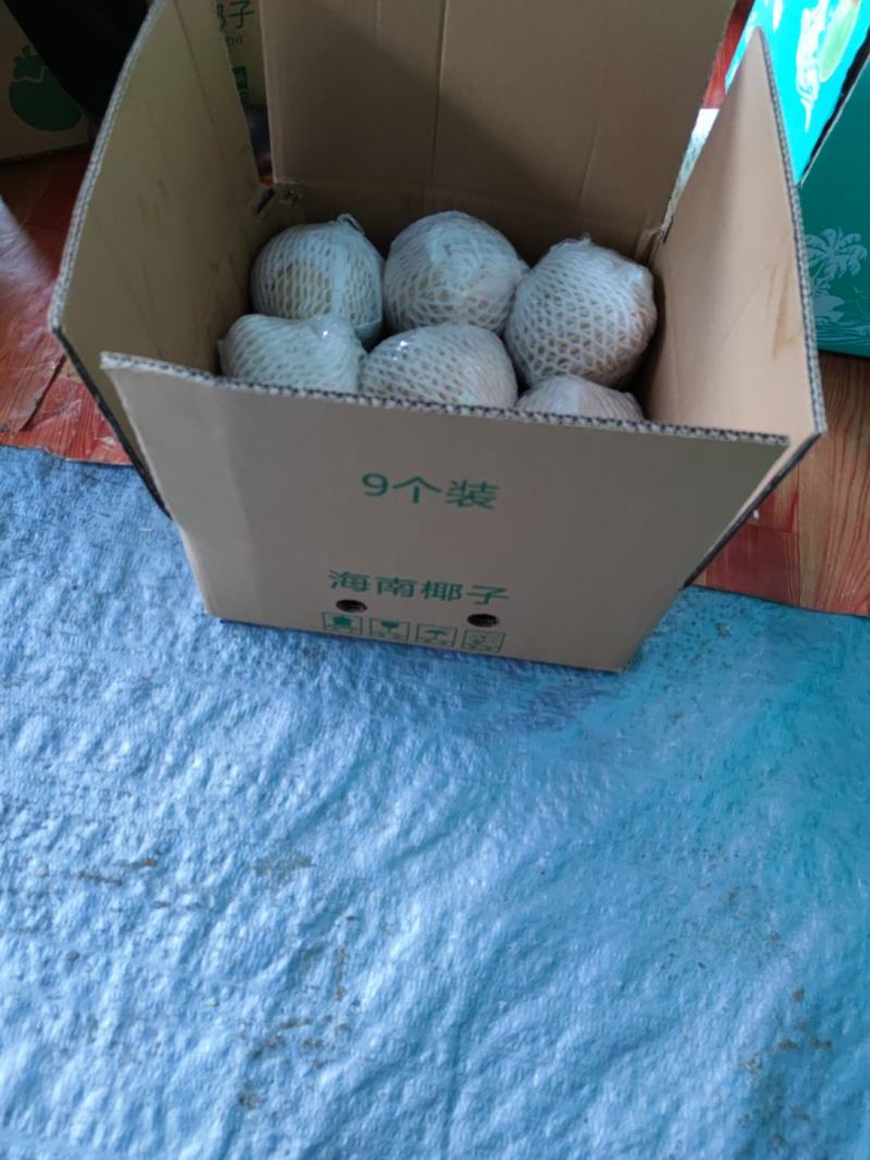 文昌椰子奶椰