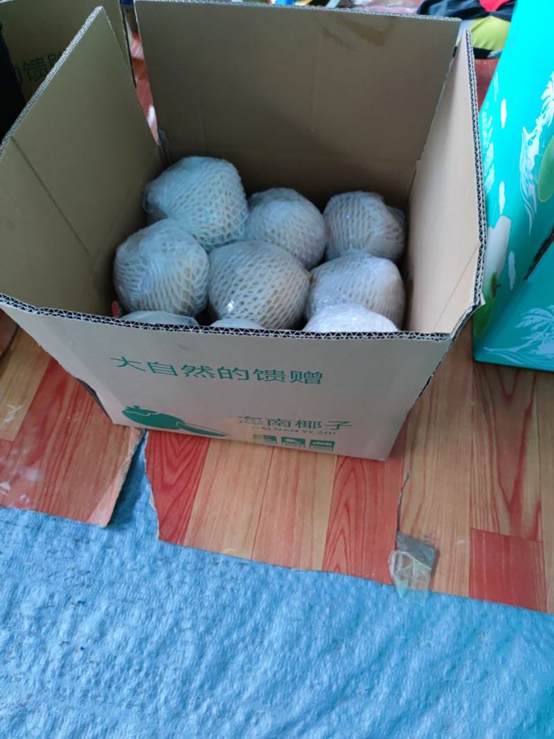 文昌椰子奶椰
