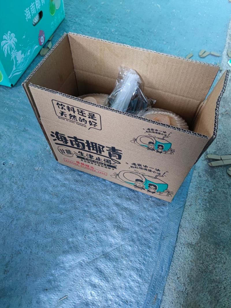 海南文昌椰青，