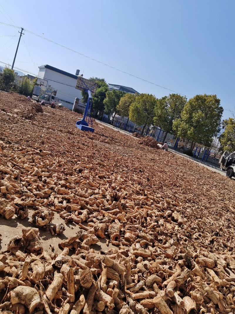 大量出售雷公藤根，，干货，云南货，纯根，111111