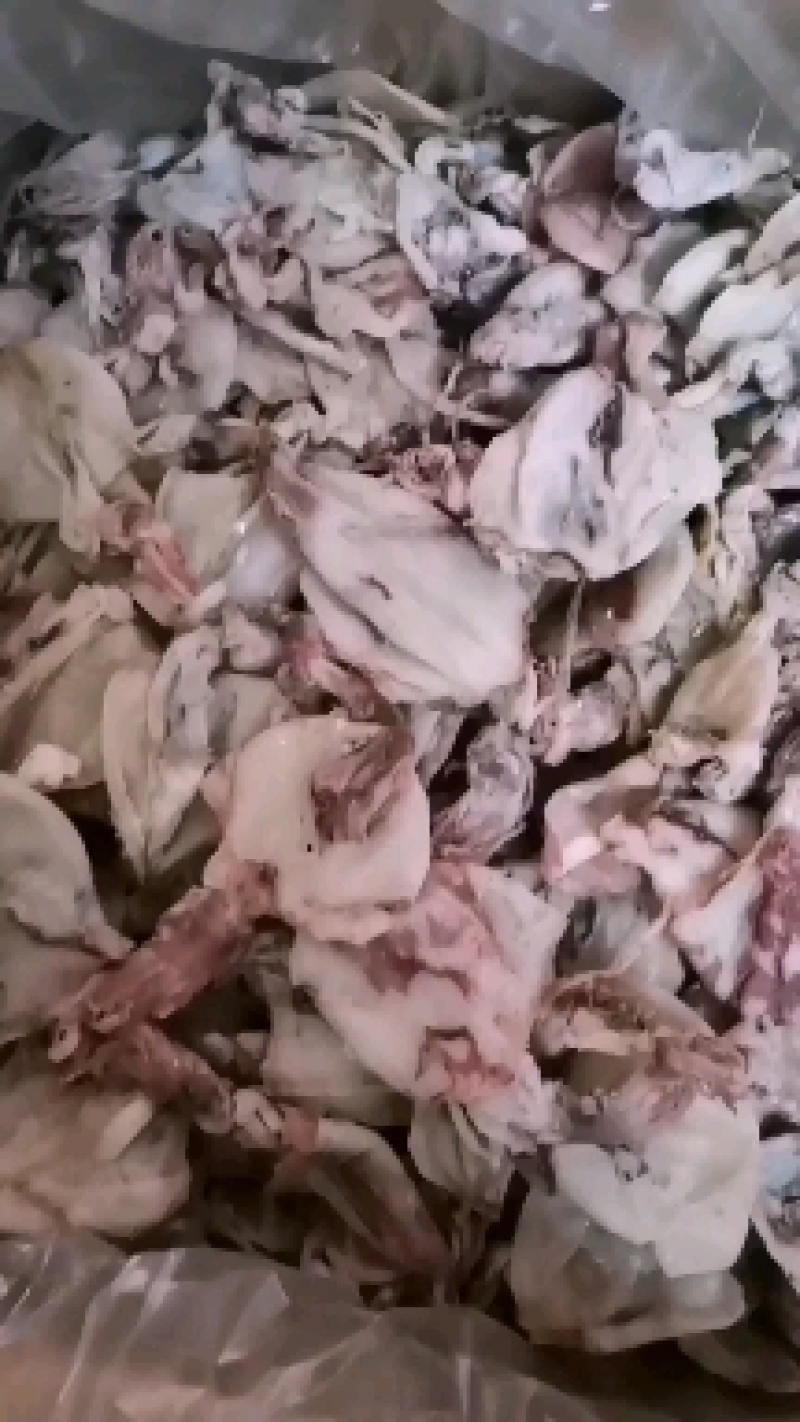 深海小鱿鱼九成干把墨去掉清洗可炒可蒸可煲汤煲粥等