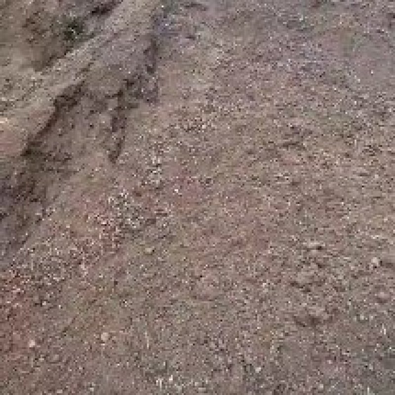 羊粪