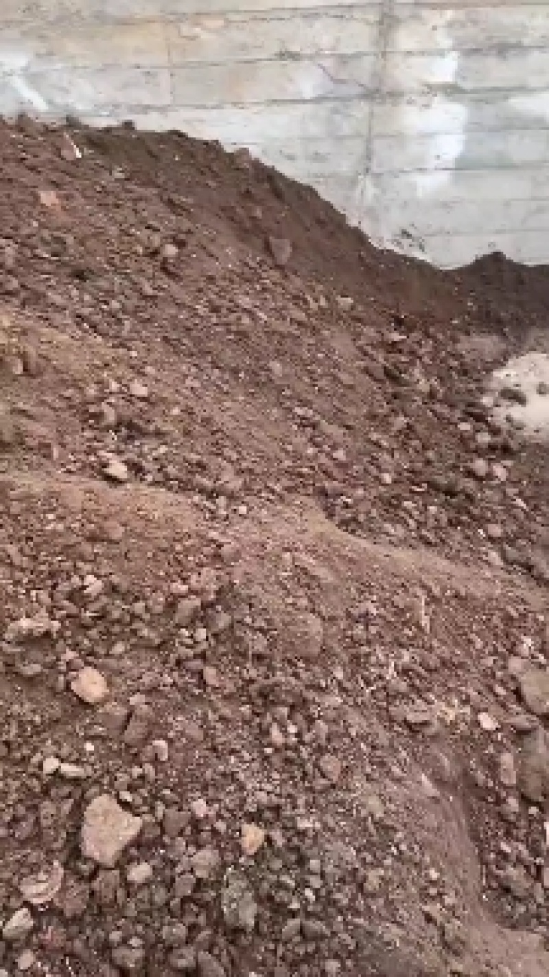 羊粪