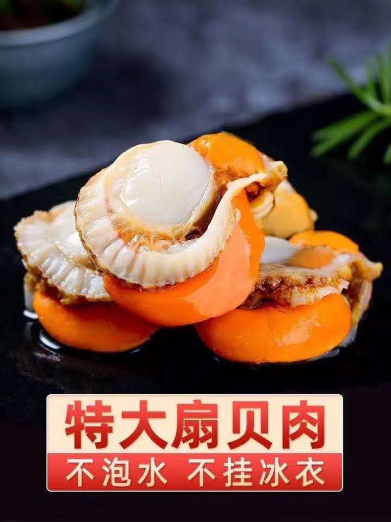 扇贝肉，原汁扇贝肉，扇贝，大扇贝，优质扇贝肉