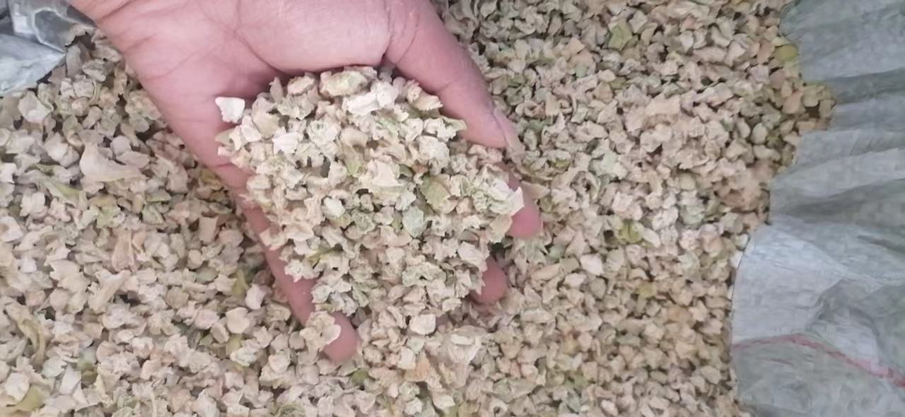 萝卜主产区地理分布示意图