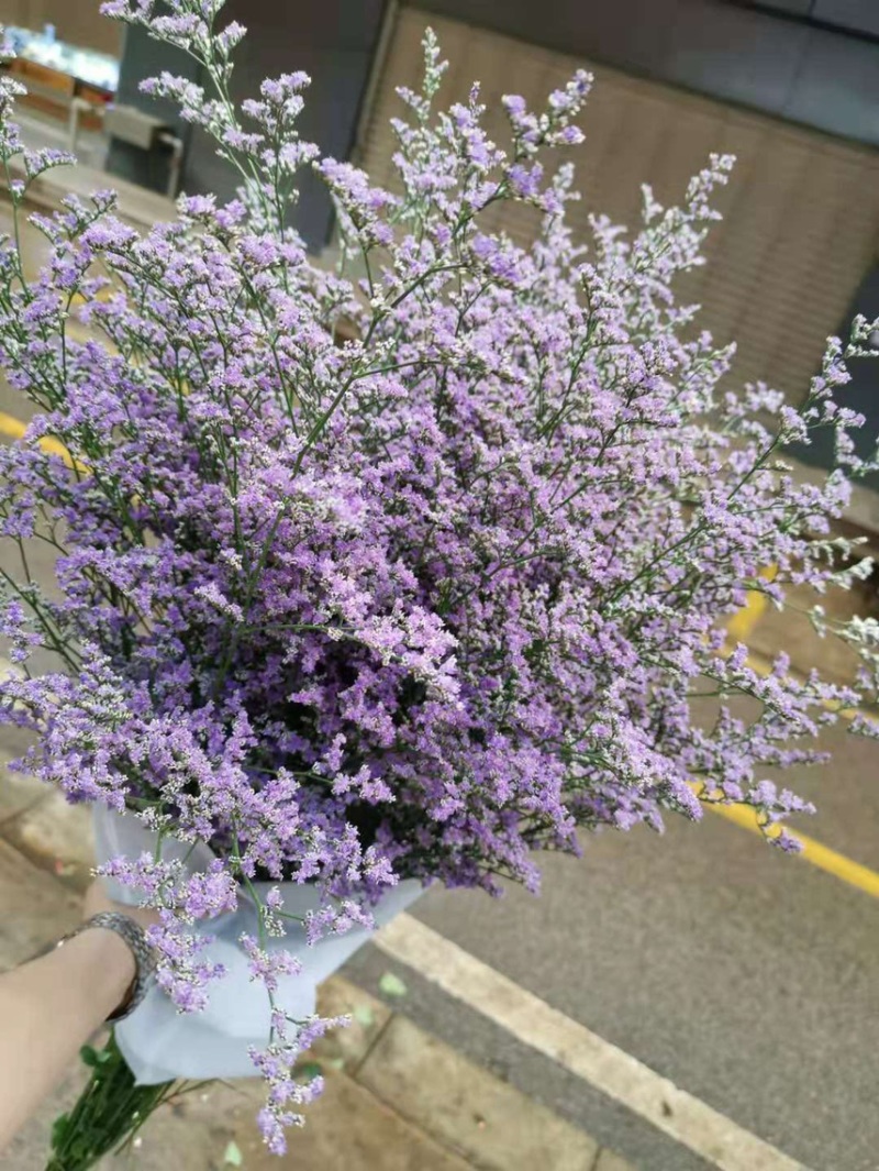 斗南直发草花配叶类康乃馨百合等等