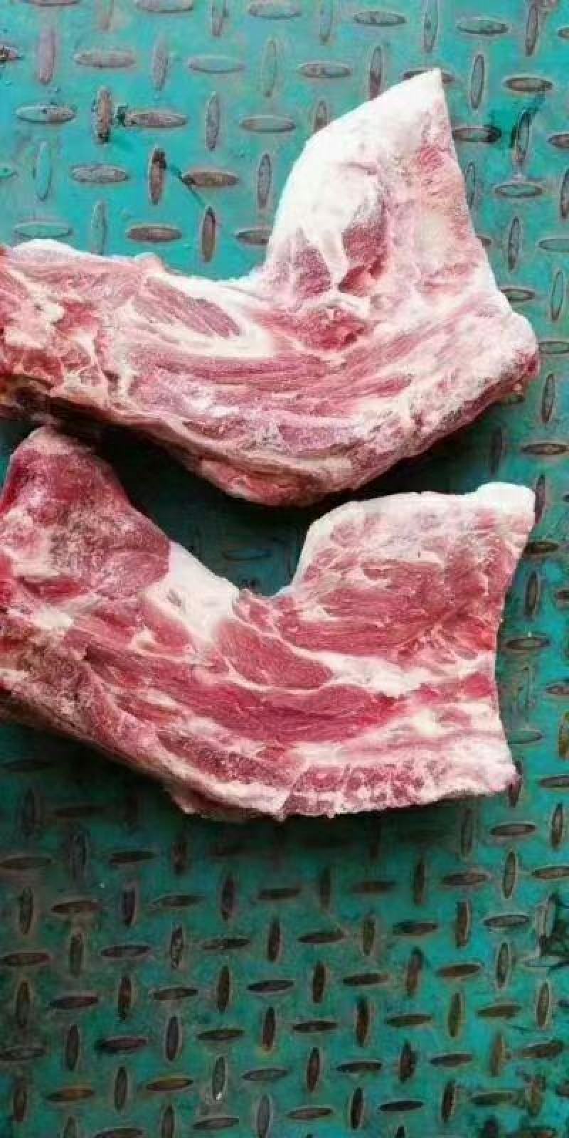 巴西庞宝多肉胫骨