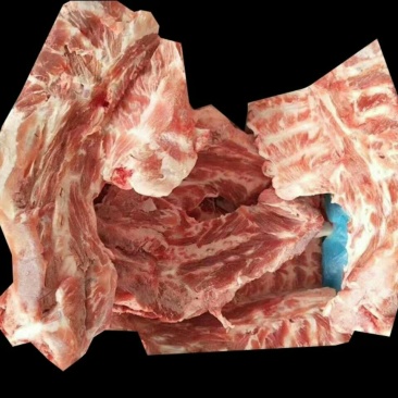巴西庞宝多肉胫骨
