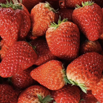 红颜草莓口感香甜口感保证好认货的来自己采摘园好吃
