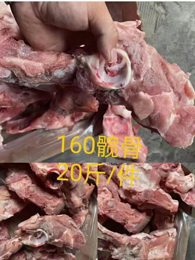 160髋骨