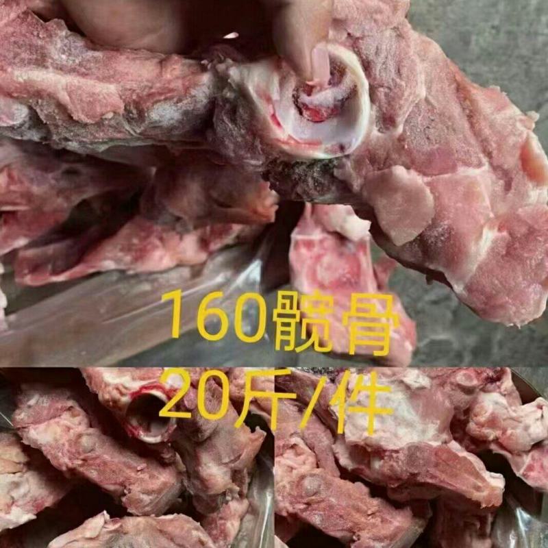 160髋骨