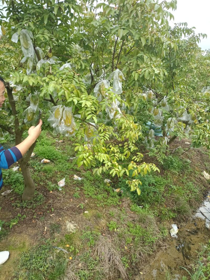 对接全国电商，市场，价格美有需要的小伙伴们喜欢的砸单