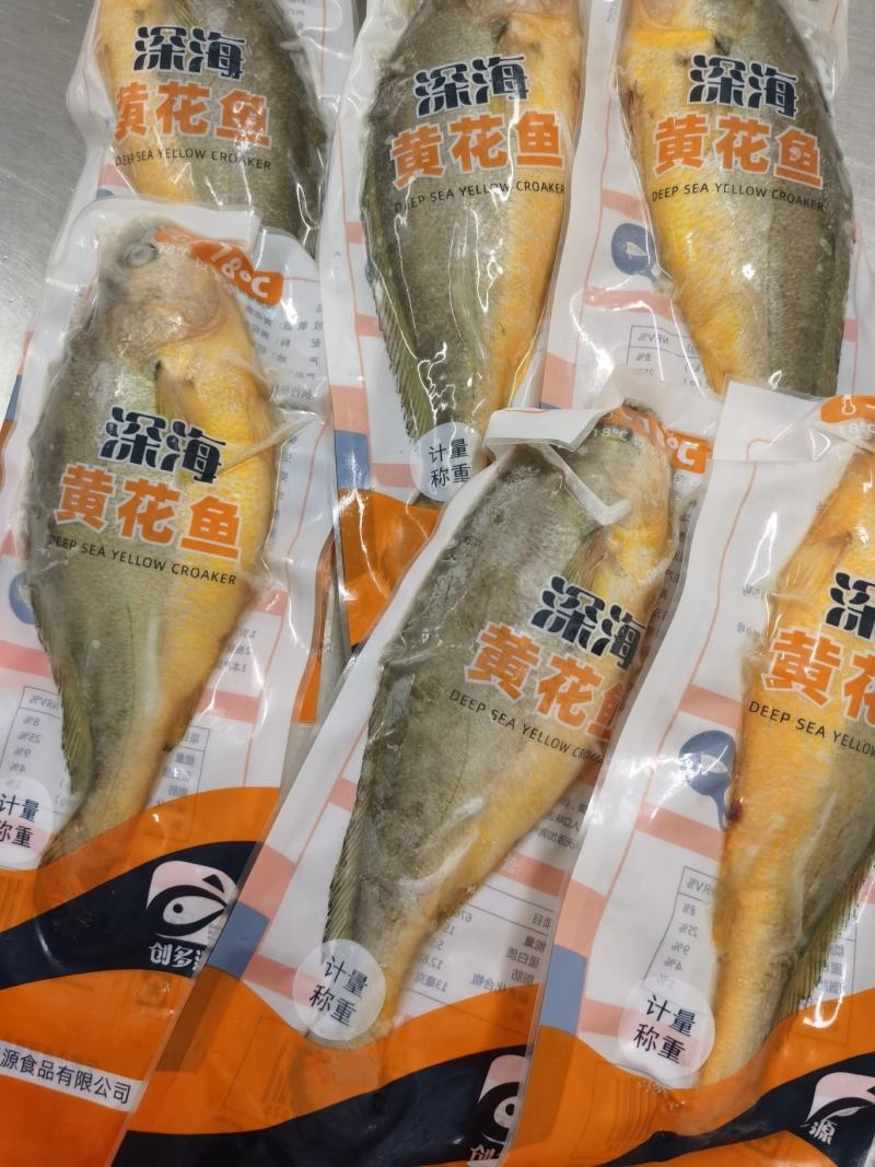 大黄花鱼，体大身胖，可试吃包邮，可批发一件包邮