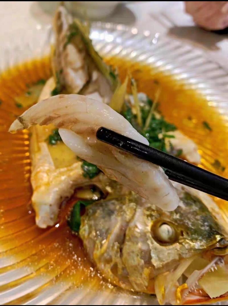 大黄花鱼，体大身胖，可试吃包邮，可批发一件包邮