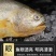 大黄花鱼，体大身胖，可试吃包邮，可批发一件包邮