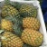 精选菠萝🍍（全国实力代发）电商果/市场货质量保证