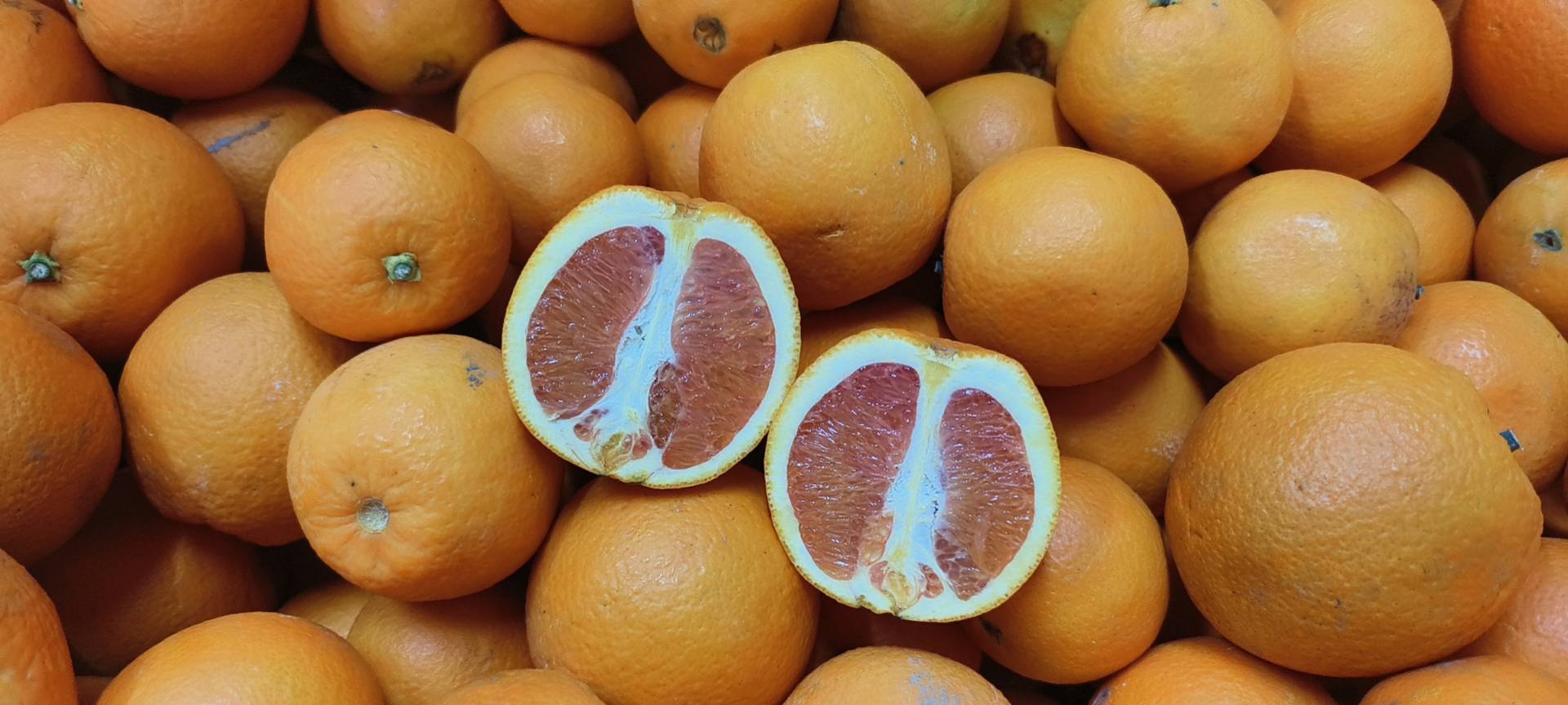 变质橙子与新鲜橙子对比