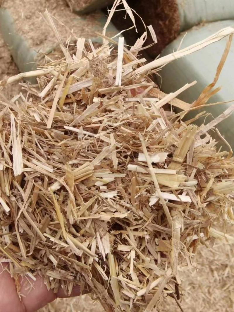 【推荐】小麦秸秆牛羊牧草饲料干草牛羊草料大量供应