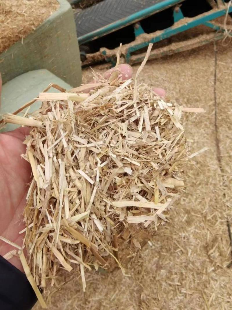 【推荐】小麦秸秆牛羊牧草饲料干草牛羊草料大量供应
