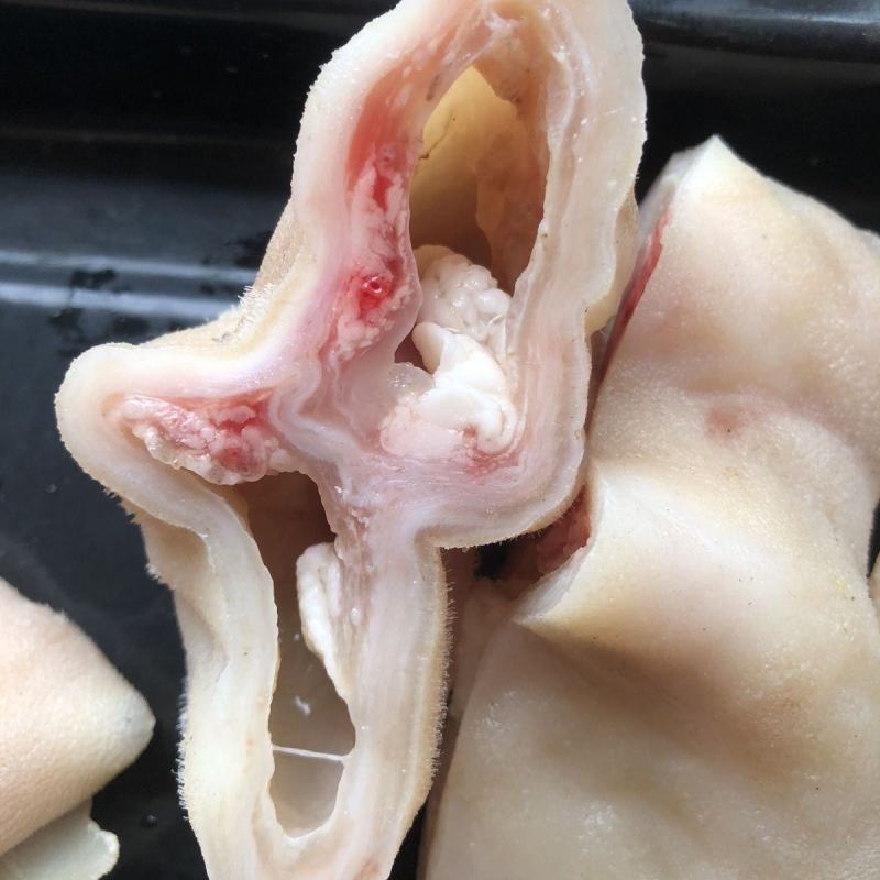 羊蛋皮羊脸皮