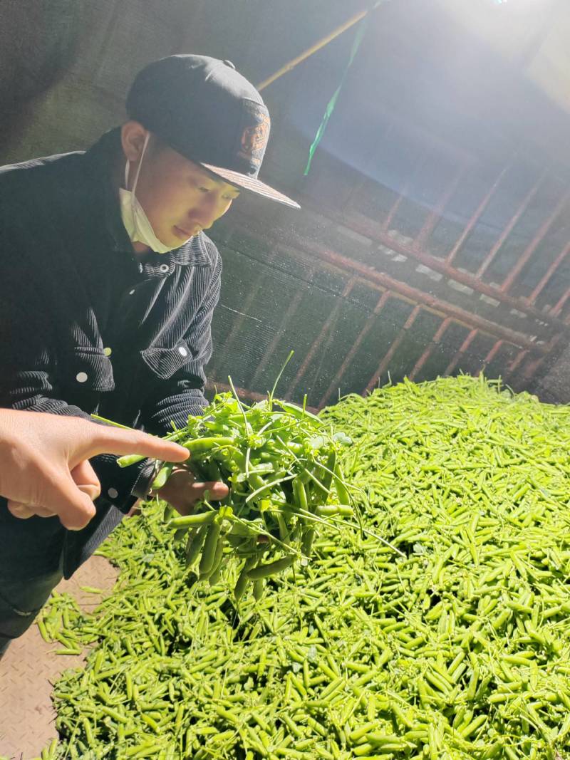 甜脆碗
