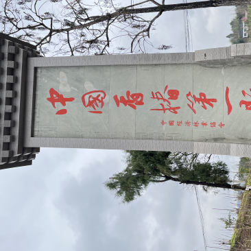 红香椿