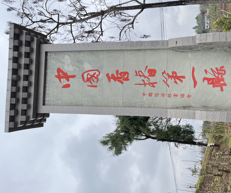 红香椿