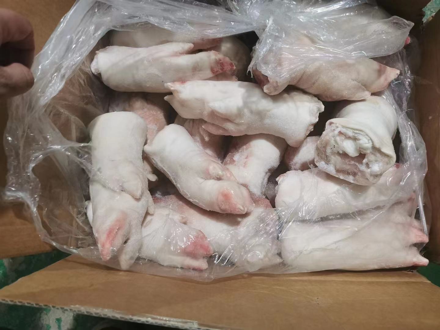 蜂蜜与猪脚食材图