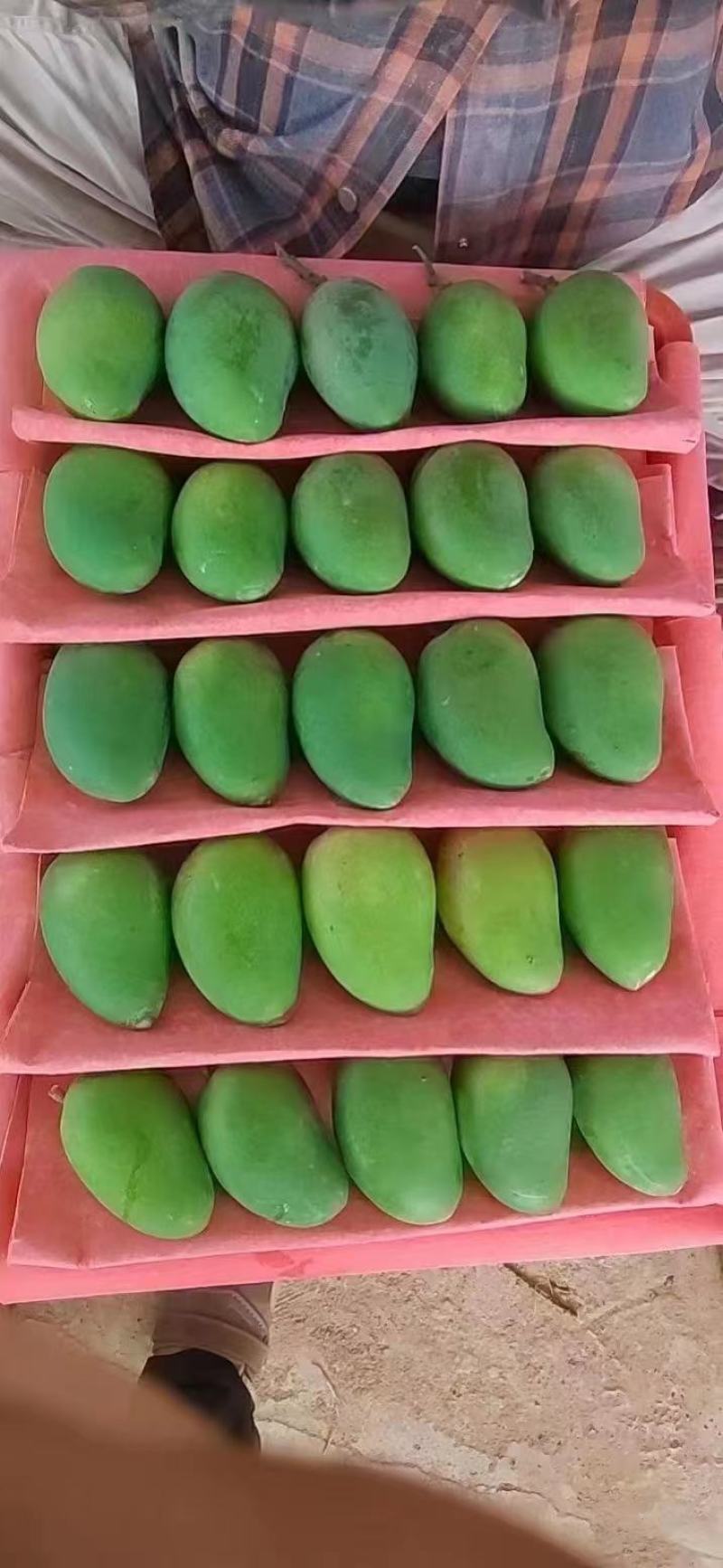 台农芒果，市场果，电商果，工厂加工果，欢迎大家咨询