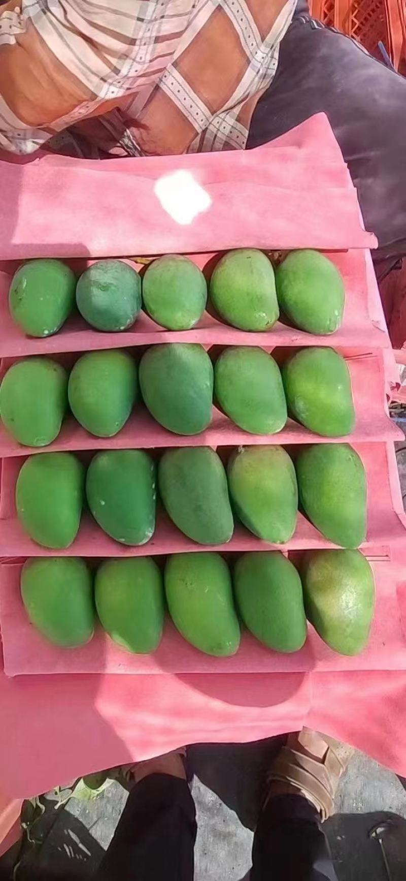 台农芒果，市场果，电商果，工厂加工果，欢迎大家咨询