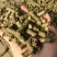 花生秧草颗粒料，牛羊颗粒料