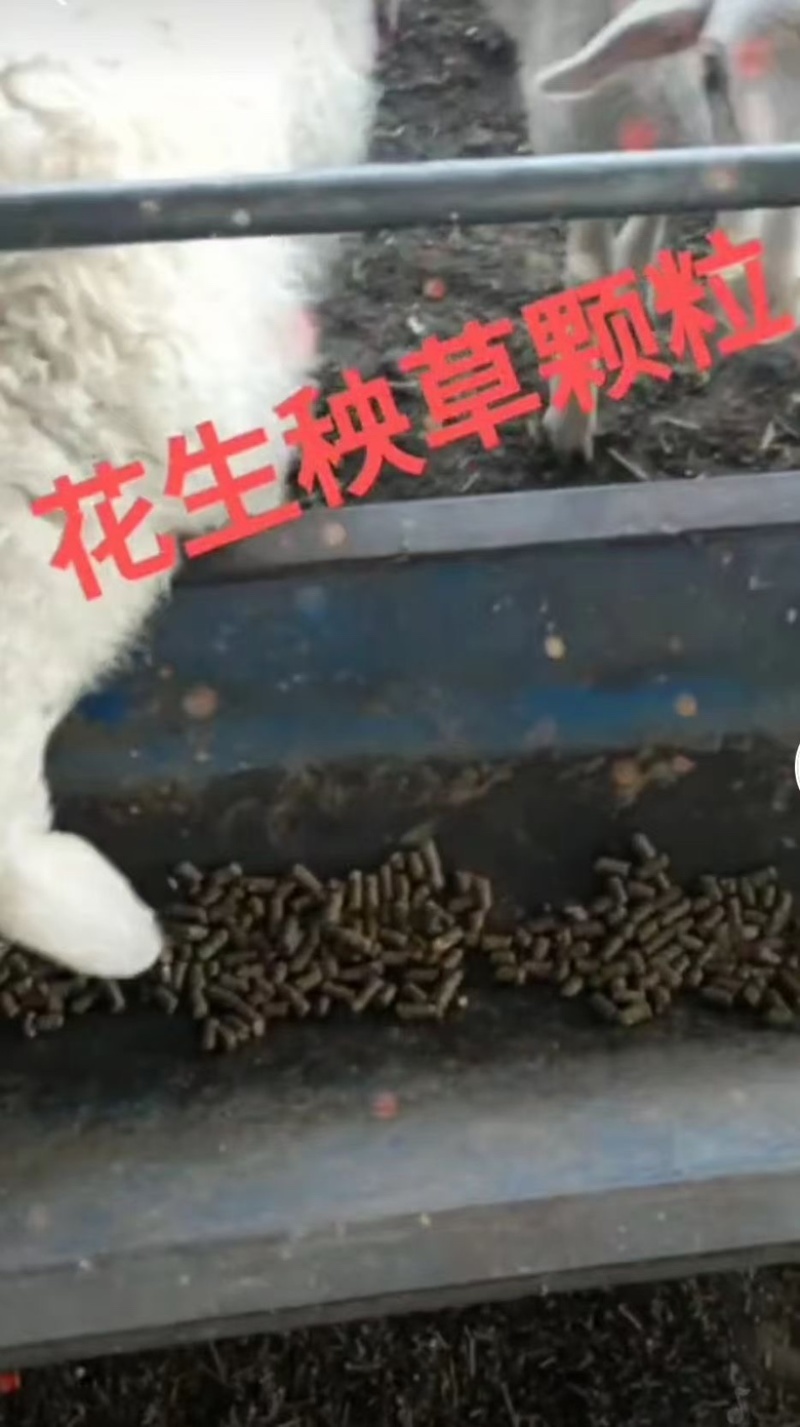 花生秧草颗粒料，牛羊颗粒料