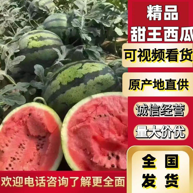 【热销】陕西大棚甜王西瓜，个头均匀！口感好，耐运输